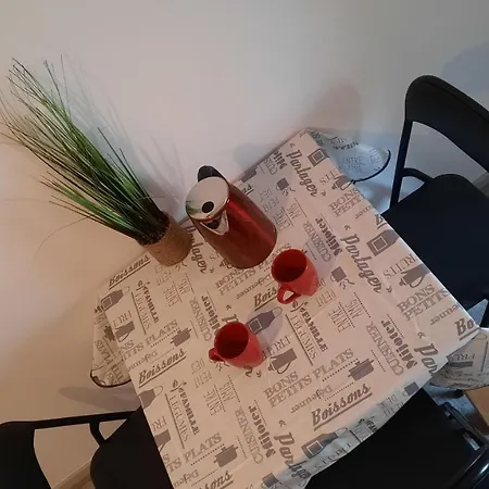 Apartment 3 Pieces Chambre+cuisine+sdb Centre